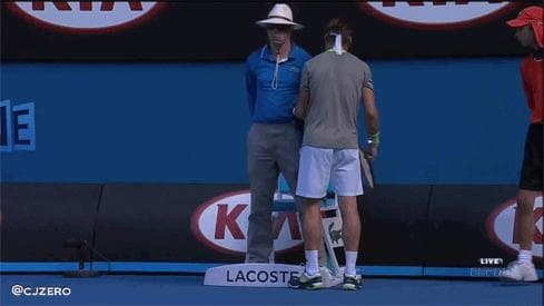 DavidFerrerPushesLinesmanAussie14